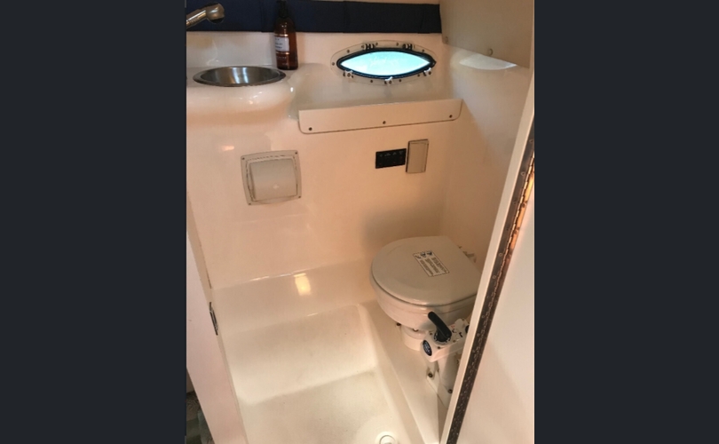 Glastron GS 259-kuva-9